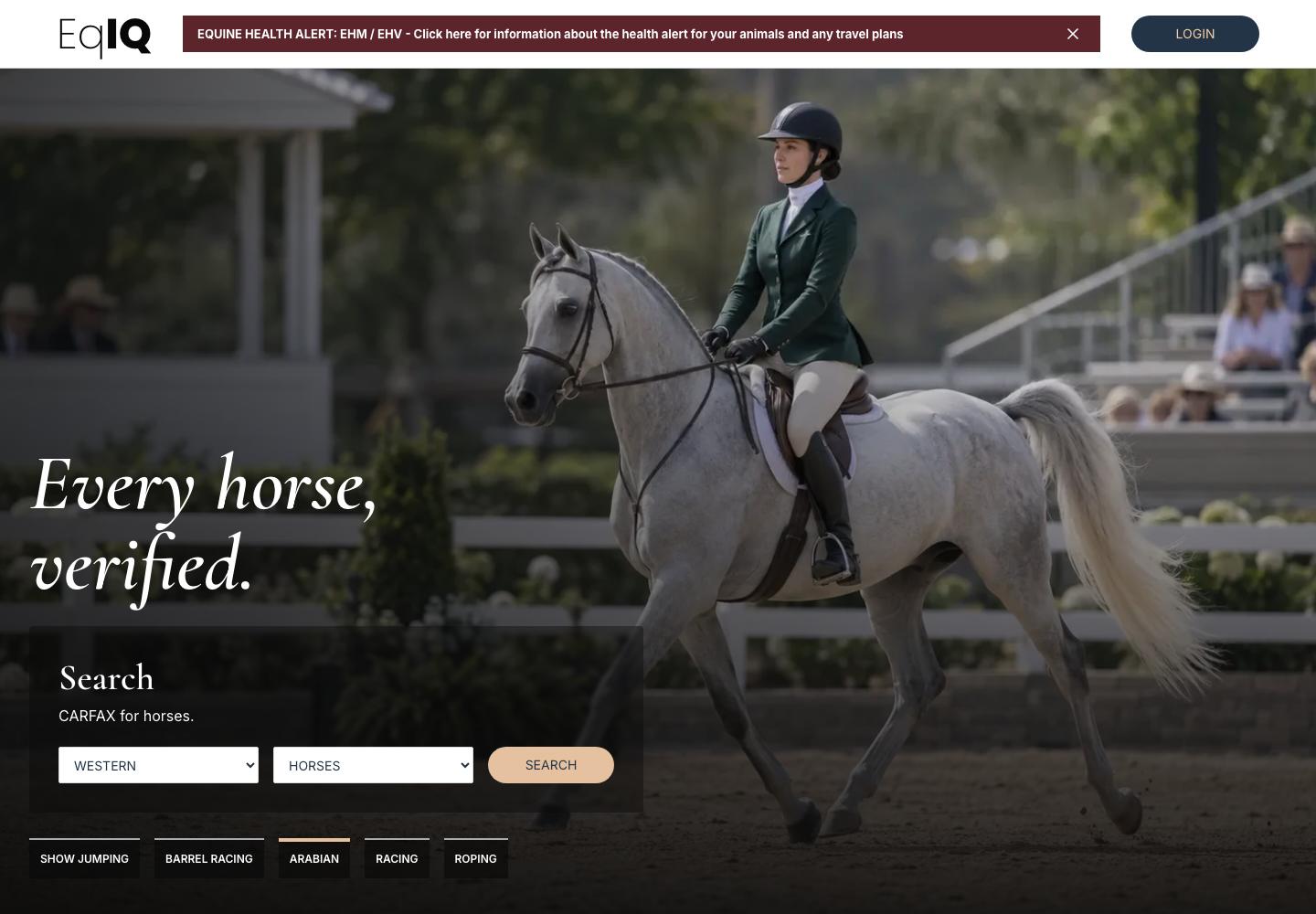 The EqIQ home page: a rider on a grey horse, the words Every horse, verified, and a search box that says CARFAX for horses
