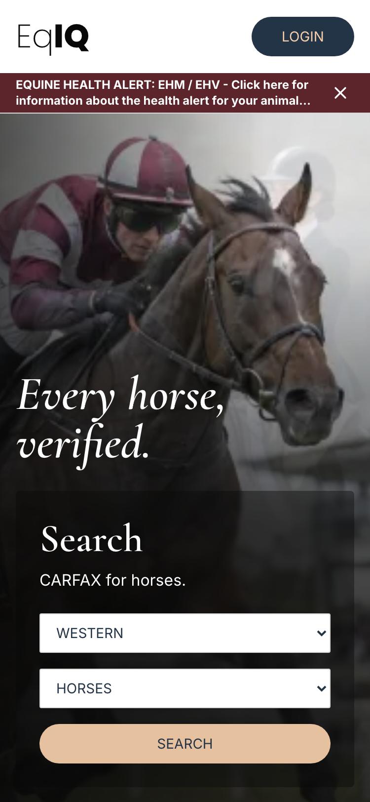 The home page on a phone