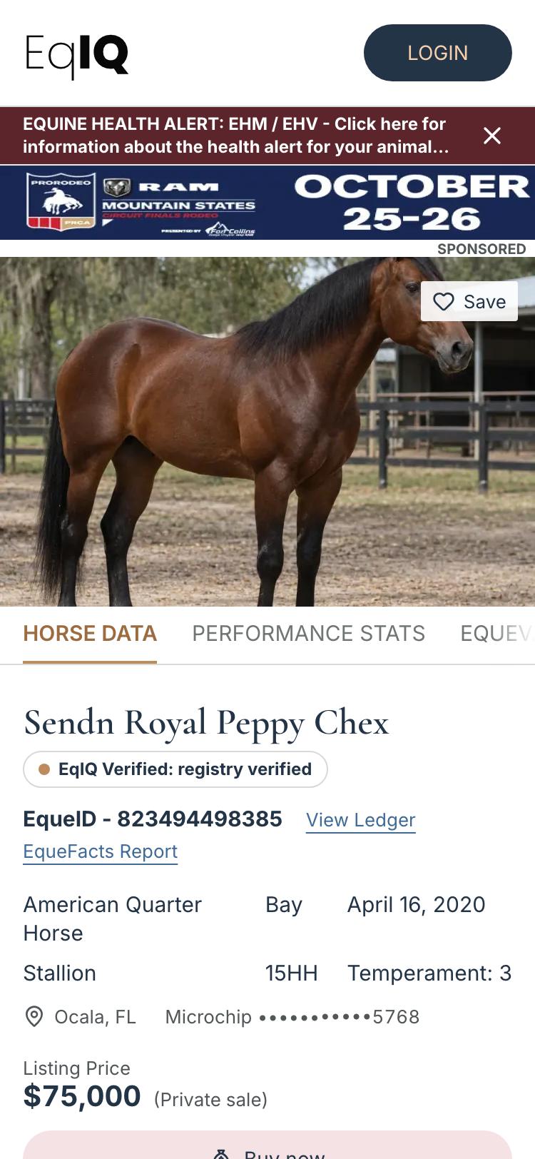 A horse page on a phone