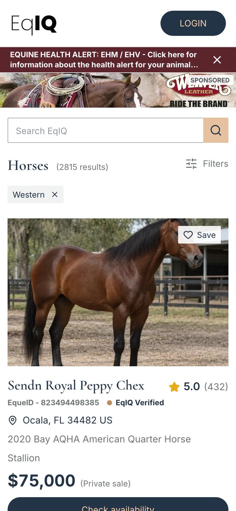 Horse search on a phone