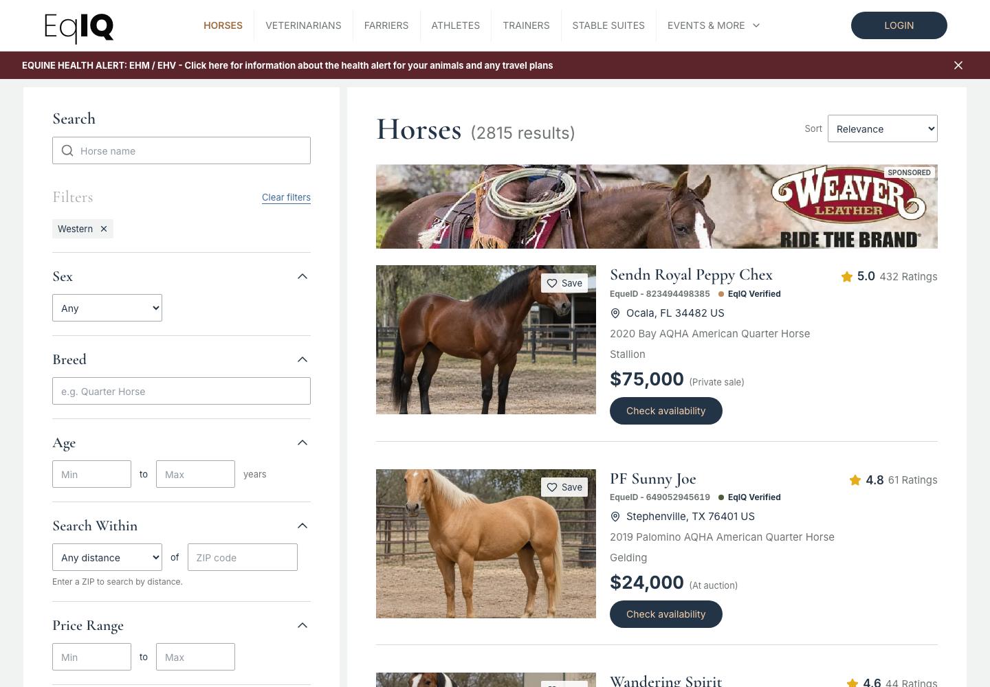 Horse search results with filters on the left and horse cards with photos, ratings and prices on the right